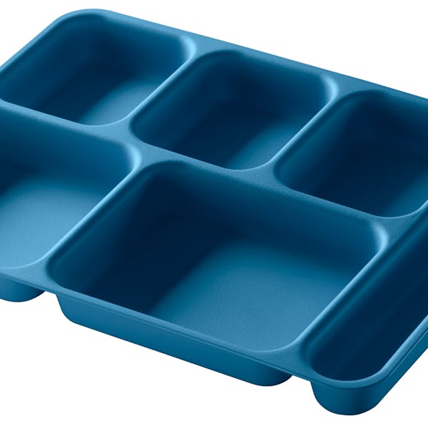 Disposable Food Tray with Dividers 1.2 X 1.2 - Stock Cavity Tray by ECP